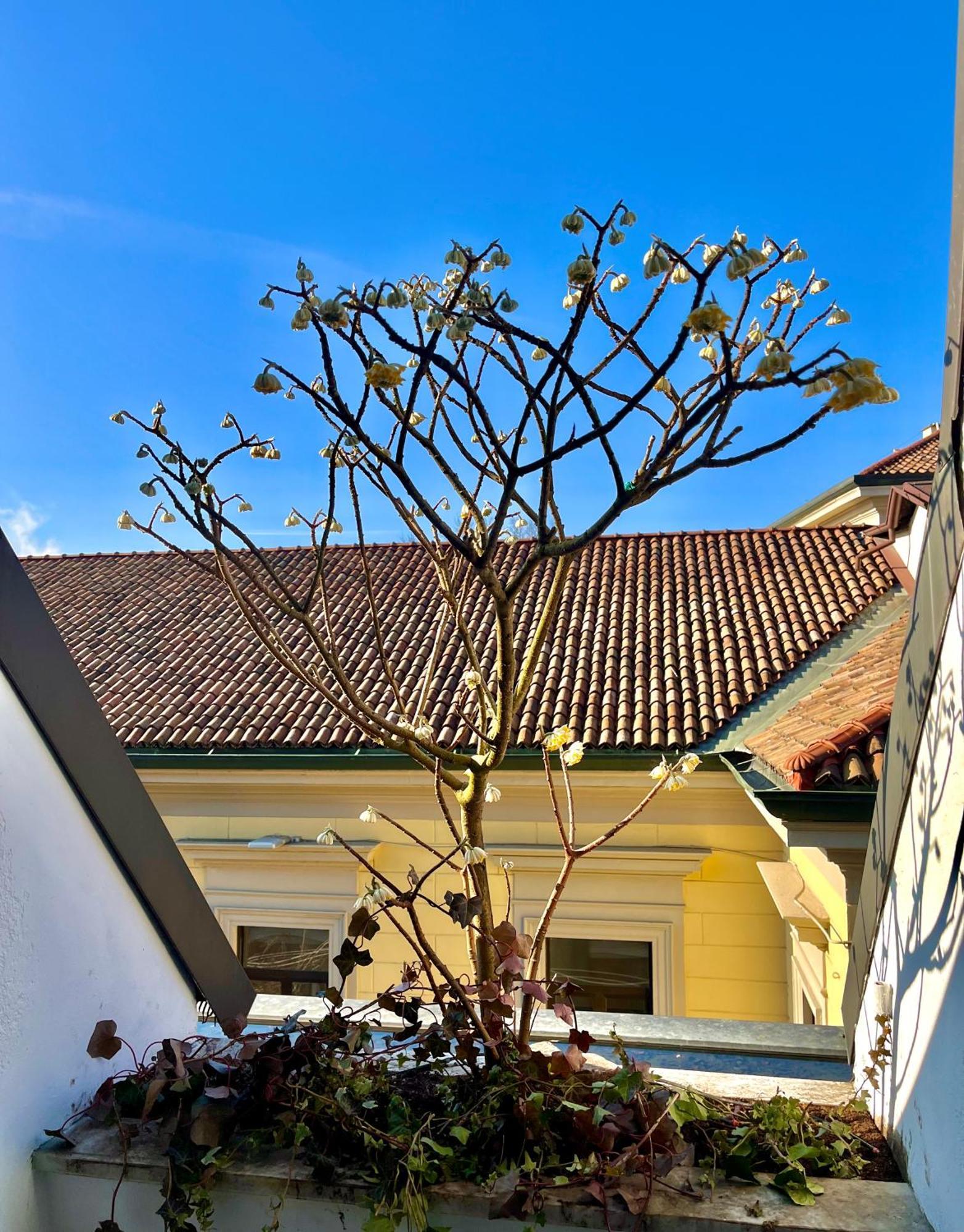 Luxury Loft Apartment มิลาน ภายนอก รูปภาพ